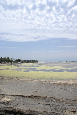 Plage de Beauduc ( 13 )