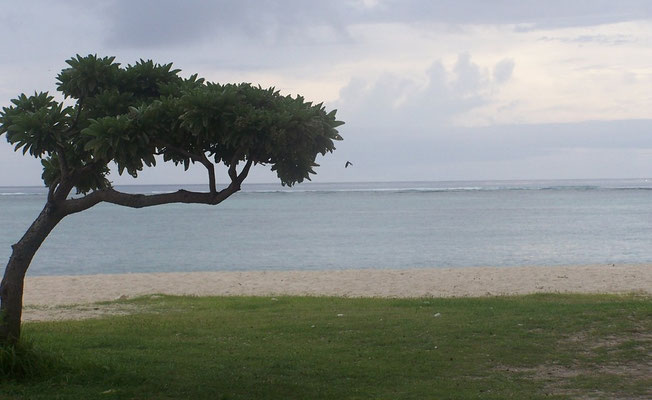 Ile Maurice