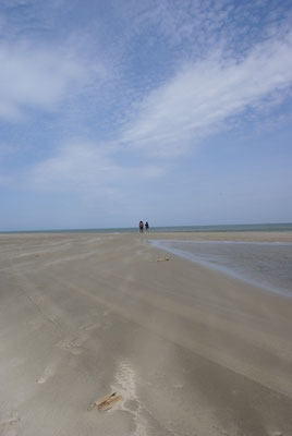 Plage de Beauduc ( 13 )