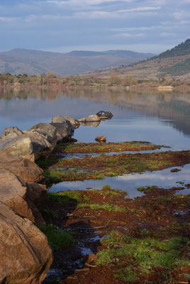 Lac du Salagou ( 34 )