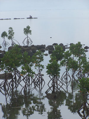 Ile Maurice
