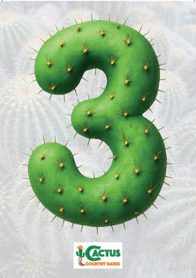Les horaires 3 6 et 9 en forme de cactus