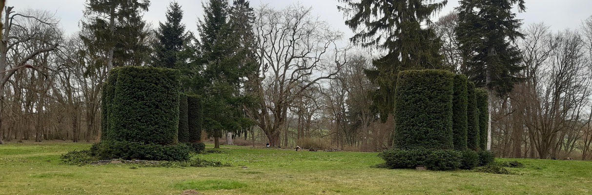 Taxus Säulen im Gutspark Warbende