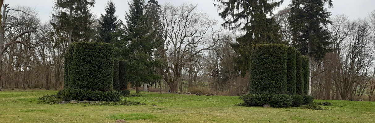 Taxus Säulen im Gutspark Warbende