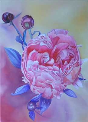 "Pfingstrose" (60x80cm.) 2022