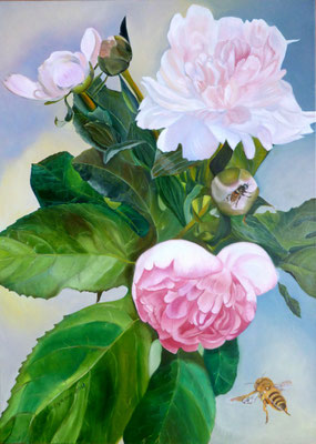 "Pfingstrosen" (50×70cm) 2018
