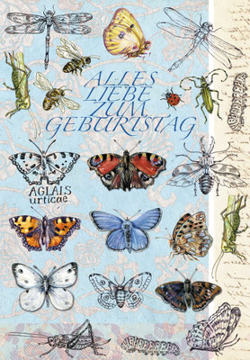 Geburtstagskarte Schmetterlinge + Insekten, Federzeichnung und Aquarell Caroline Ronnefeldt für Edition Tausendschön