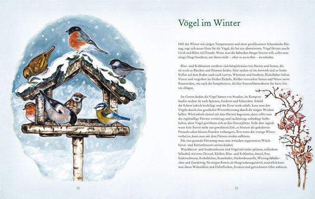 Vögel im Winter