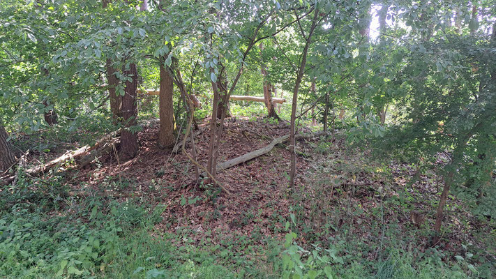 Ein Hügelgrab (um 1.000 Jahre ) befindet sich am Alten Postweg.