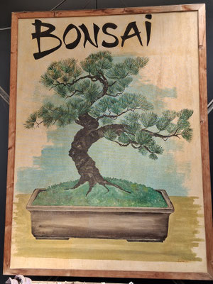 Das Bild Bonsai