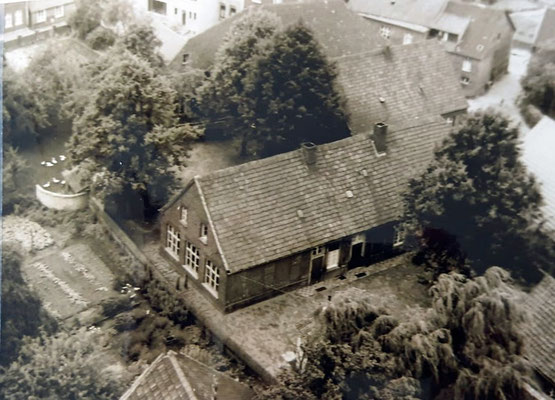 Baumschule um 1960 - Stadtarchiv