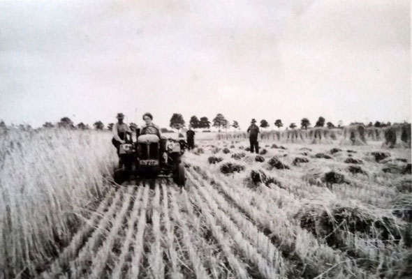 1945 - Ria auf dem neuen Trecker 