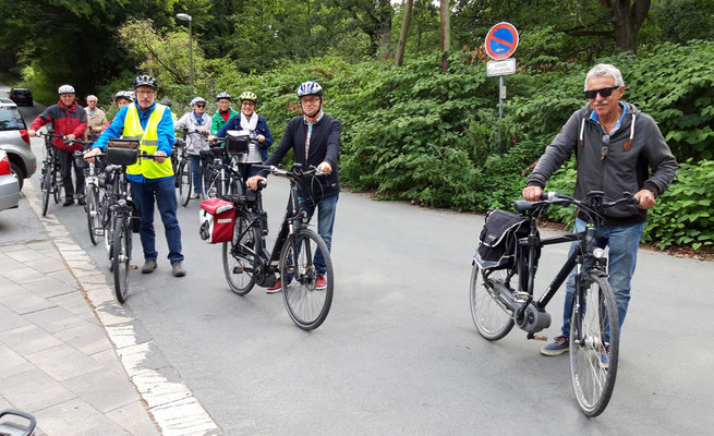 Auf dem Rückweg durch die Haard