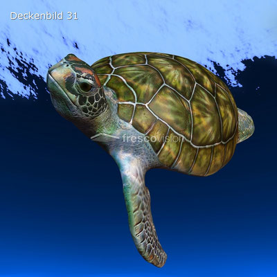 Schildkröte Deckenbild 31