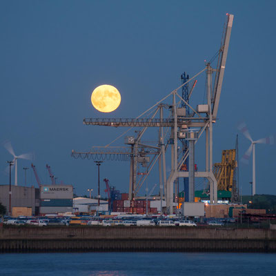 Aufgehender Mond zwischen den Verladekränen im Hamburger Hafen