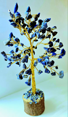 Bild 7