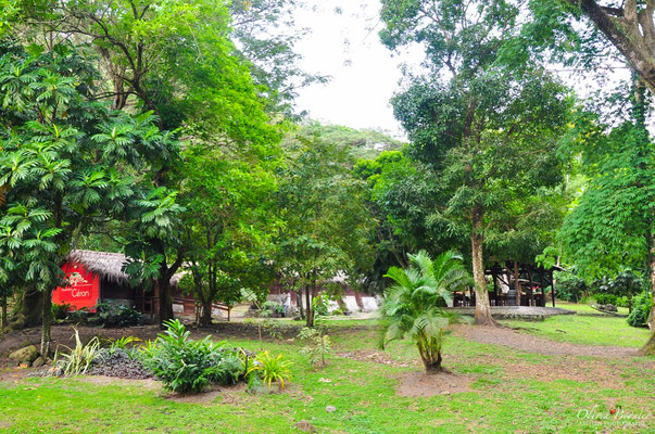 L habitation C ron Les petits reporters