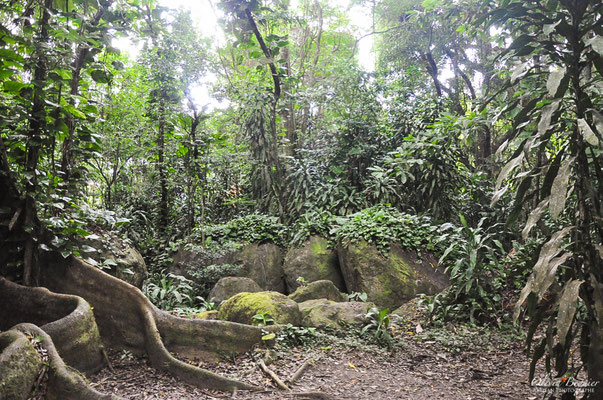 L habitation C ron Les petits reporters