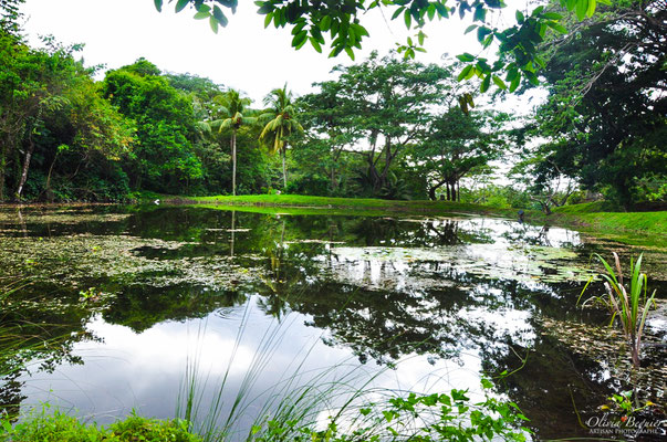 L habitation C ron Les petits reporters