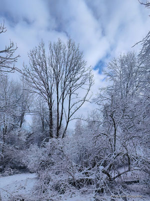 Der Winter ist da, die stille Zeit ...