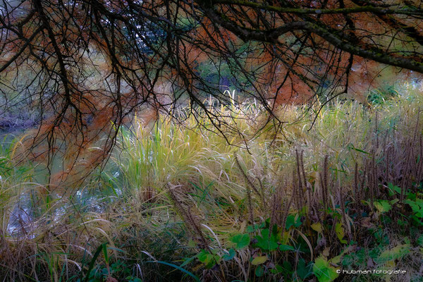 Herbststimmungen im Botanischen Garten