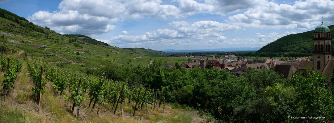 Panoramaaussicht auf Kaysersberg - Geburtsort des Nobelpreisträgers Albert Schweitzer.