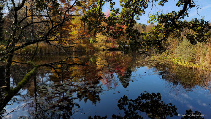 Der Herbst mit seiner ganzen Farbenpracht 