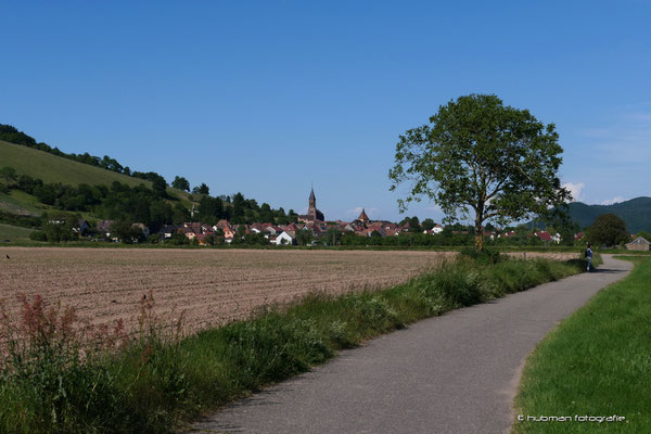 ... viele Wanderwege