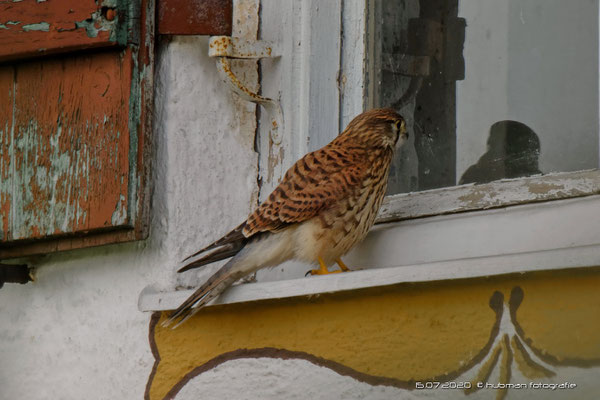 Guggst Du ?? Wer ist denn da ?