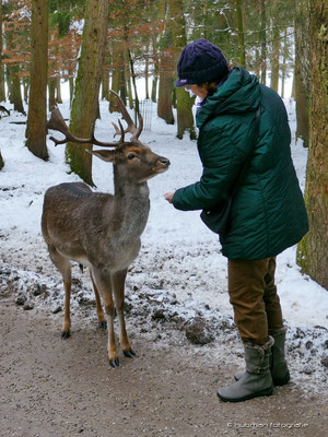 Wildfütterung