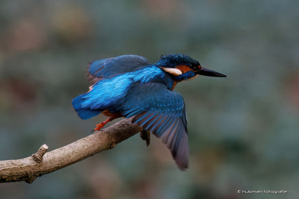 und Abflug ...