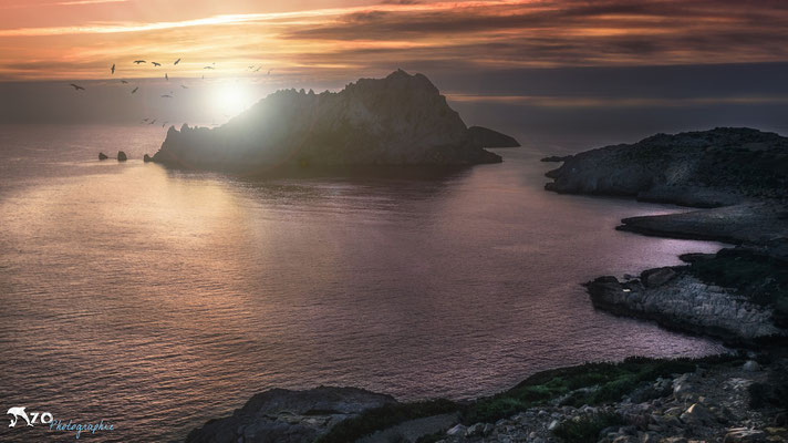 L'ile Maîre - Calanque Callelongue - Enzo Photographie