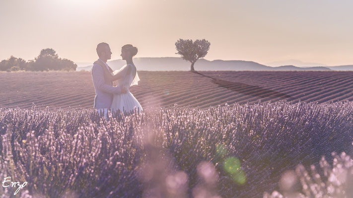Romance en Provence : Séance de Mariage au Coeur des Champs de Lavande