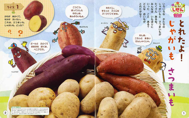 世界文化ワンダーグループ