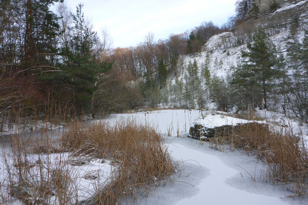 Winter im NSG Foto NABU B.E.