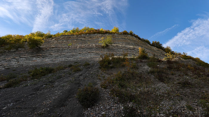 Herbst  2021 Foto NABU B.E.