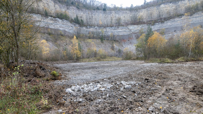 Neue Flächen für temporäre Gewässer 08.11.2024. Foto NABU B.E. 