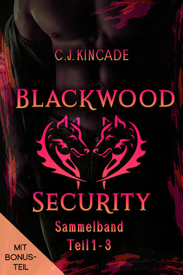 Premade Cover 2024