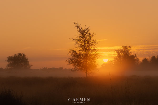 Sonnenaufgang Drunense Duinen