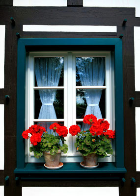Restaurierte Fenster