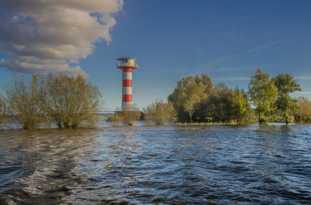 Hochwasser in Stadersand II