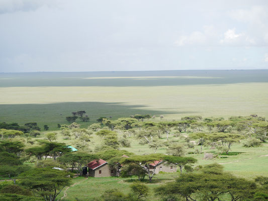 Ausblick in die <serengeti