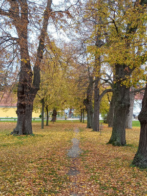 Herbst ❤ 03.11.20