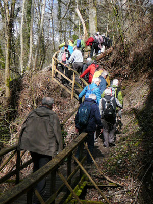 Seldenhalde: Treppauf