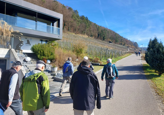 Richtung Reben