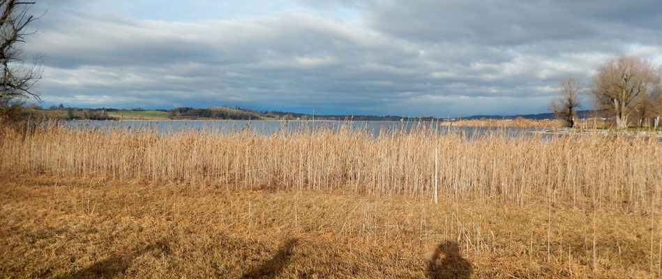 Pfäffikersee mit Schatten von Chlapf, Tardo & Zingg