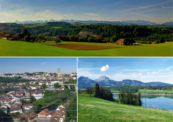 Mit Rattin unterwegs - Alpenpanorama bei Flamatt / Fribourg, Gotteron / Moléson / Lac de Gruyère
