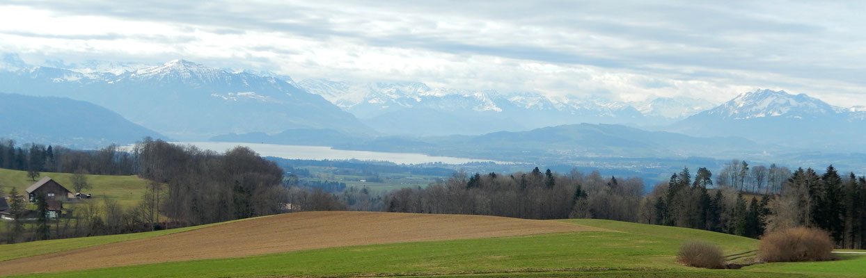 Sicht gen Süden auf Zugersee, Rigi, Pilatus  & die Zentralschweizer Alpen