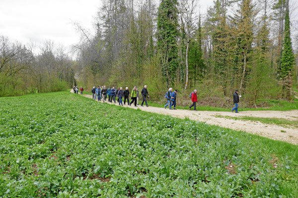 Links weg gen Herblingen