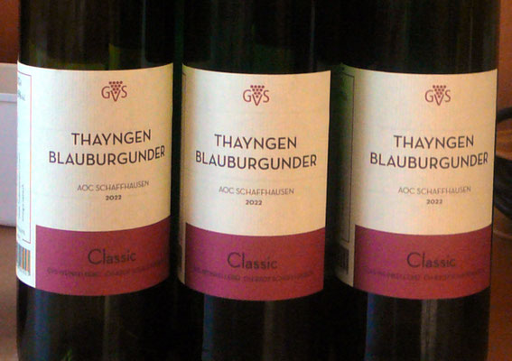 Thaynger Blauburgunder